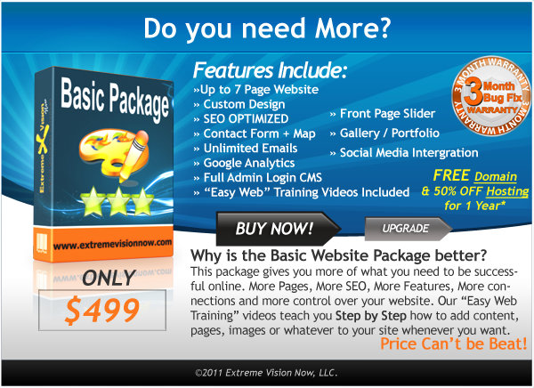 Basic Web Design Packages Price Cost