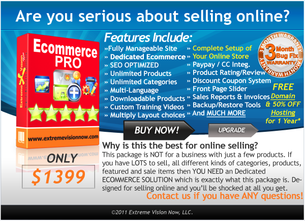 E-Commerce Web Design Packages Professional - Price