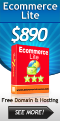 E-Commerce Web Design Packages Lite